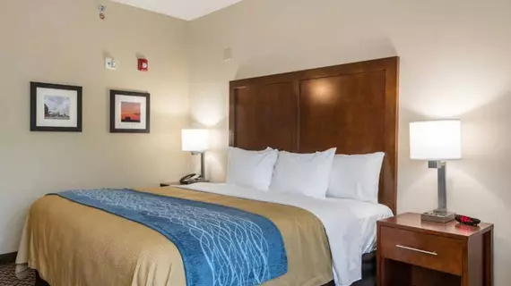 COMFORT INN & CONFERENCE CENTER | Missouri - St. Louis (ve civarı) - Edwardsville