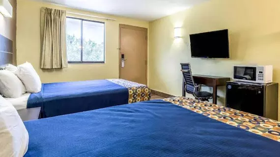 Rodeway Inn Tampa | Florida - Tampa (ve civarı) - Tampa