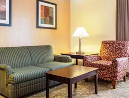 Quality Suites Milwaukee Airport | Wisconsin - Milwaukee (ve civarı) - Milwaukee