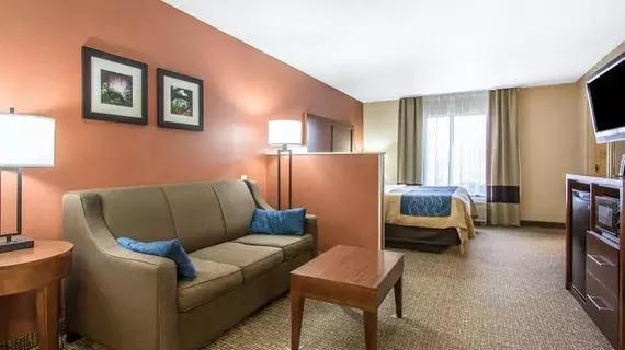 Comfort Inn Livingston | Alabama - Demopolis (ve civarı) - Livingston