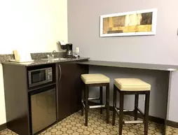 MICROTEL INN AND SUITES ELKHART | Indiana - South Bend (ve civarı) - Elkhart