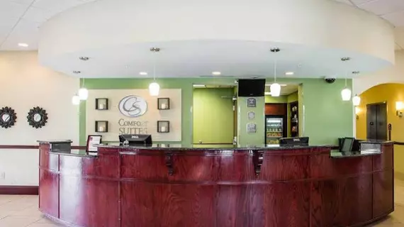 Comfort Suites Mount Juliet | Tennessee - Nashville-Davidson - Nashville (ve civarı) - Mount Juliet