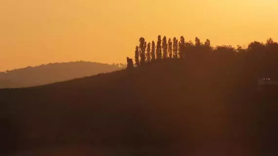 Enolocanda Del Tufo | Piedmont - Cuneo (il) - Dogliani