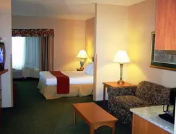 Holiday Inn Express and Suites Elk Grove East | Kaliforniya - Sacramento (ve civarı) - Elk Grove