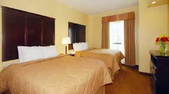 Comfort Inn Near SeaWorld | Teksas - San Antonio (ve civarı) - San Antonio - Batı San Antonio