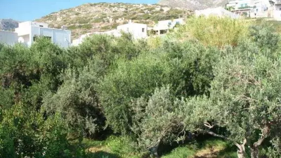 Adonis Hotel | Ege Adaları - Naxos