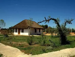 Ardea Purpurea | Andalucia - Seville İli - Aljarafe - Villamanrique de la Condesa