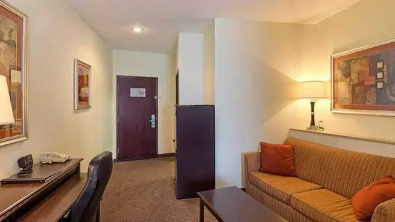 Comfort Suites University Abilene | Teksas - Abilene (ve civarı) - Abilene