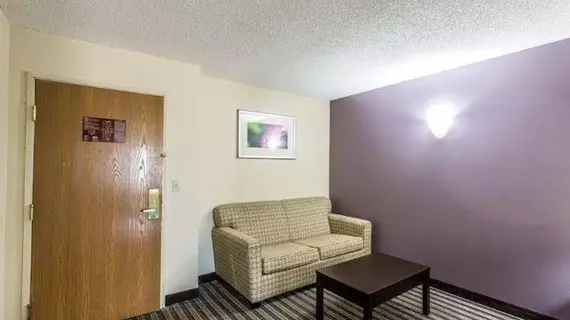 Comfort Inn Paducah | Kentucky - Paducah (ve civarı) - Paducah