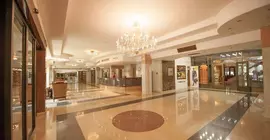 Jolly Alon Hotel | Kişinev