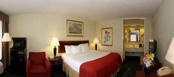 Clarion Inn & Suites Dothan | Alabama - Dothan (ve civarı) - Dothan