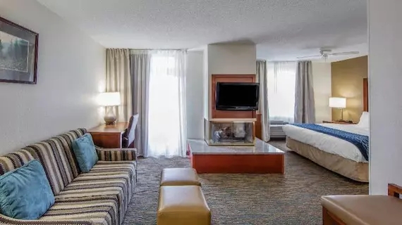 COMFORT INN APPLE VALLEY | Tennessee - Gatlinburg - Pigeon Forge (ve civarı) - Sevierville