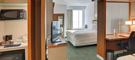 SpringHill Suites by Marriott Dallas Plano/Frisco | Teksas - Dallas (ve civarı) - Plano