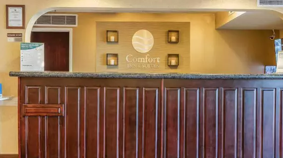 Comfort Inn and Suites Jasper | Alabama - Jasper