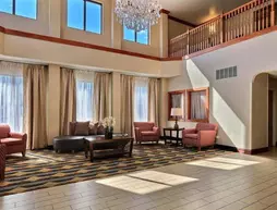 Comfort Suites Auburn Hills | Michigan - Detroit (ve civarı) - Auburn Hills