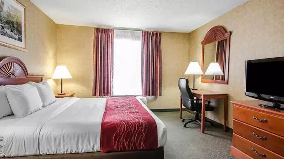 Comfort Inn & Suites | Kentucky - Owensboro (ve civarı) - Rockport