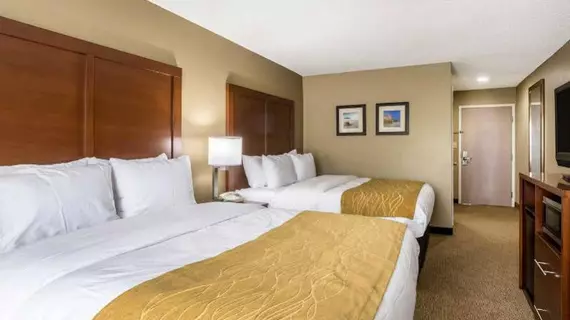 Comfort Inn | Güney Karolayna - Myrtle Plajı (ve civarı) - North Myrtle Beach