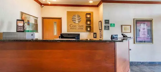 Comfort Inn & Suites Madison North | Wisconsin - Madison (ve civarı) - De Forest