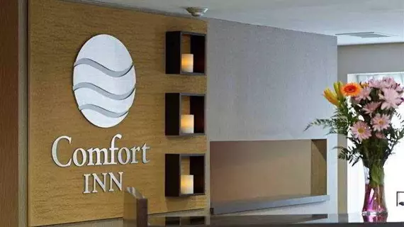 Comfort Inn Edmonton West | Alberta - Edmonton (ve civarı) - Edmonton - West Edmonton