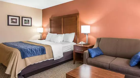 Comfort Inn Livingston | Alabama - Demopolis (ve civarı) - Livingston