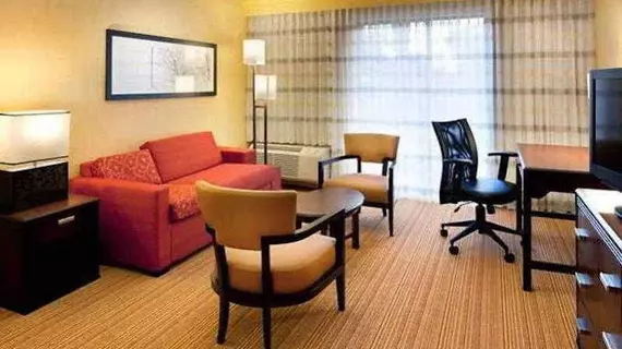 Courtyard by Marriott Las Vegas Summerlin | Nevada - Clark County - Las Vegas (ve civarı) - Las Vegas