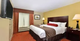 Quality Suites Nashville Airport | Tennessee - Nashville-Davidson - Nashville (ve civarı) - Nashville - Opryland - Donelson