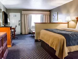 Comfort Inn Sun City Center | Florida - Tampa (ve civarı) - Sun City Center