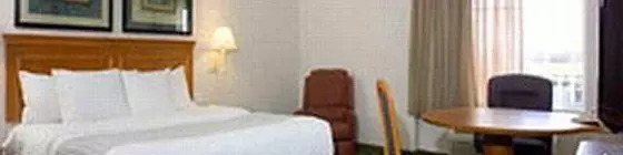 La Quinta Inn & Suites Fort Worth Southwest | Teksas - Fort Worth (ve civarı) - Fort Worth