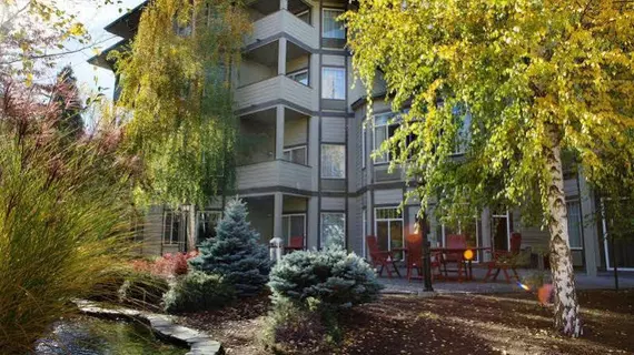 Plaza Inn & Suites at Ashland Creek | Oregon - Medford (ve civarı) - Ashland