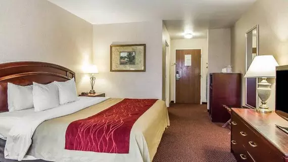 Comfort Inn And Suites | Iowa - Burlington (ve civarı) - Fort Madison