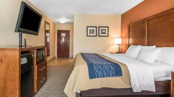 Comfort Inn Livingston | Alabama - Demopolis (ve civarı) - Livingston