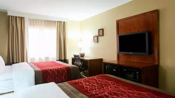 Comfort Inn & Suites Leeds | Alabama - Birmingham (ve civarı) - Leeds