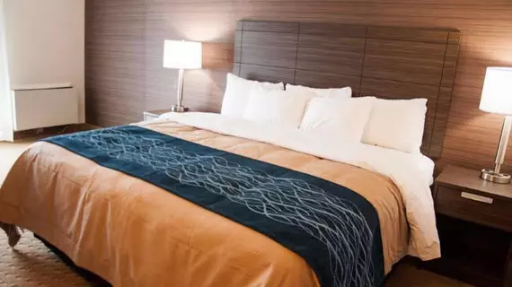 Comfort Inn Levis | Quebec - Quebec (ve civarı) - Levis