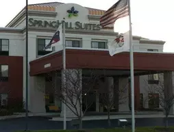 Springhill Suites By Marriott Bolingbrook | İllinois - Bolingbrook