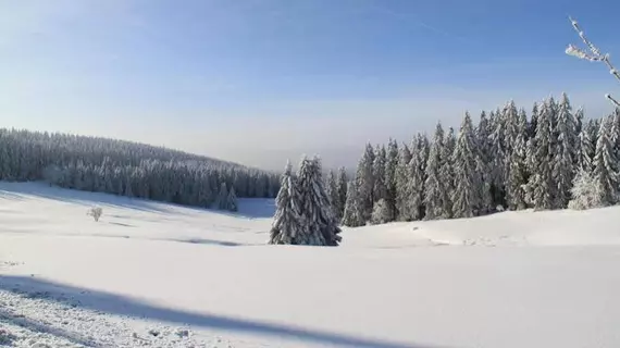 Sunotel Kreuzeck | Aşağı Saksonya - Goslar