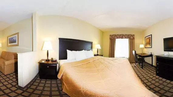 Comfort Inn & Suites Montgomery | Alabama - Montgomery (ve civarı) - Montgomery