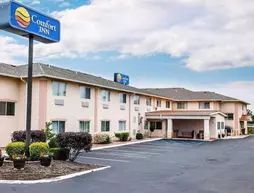 Comfort Inn Richmond | Indiana - Richmond (ve civarı) - Richmond