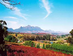 The Devon Valley Hotel | Western Cape (il) - West Coast DC - Drakenstein - Cape Town (ve civarı) - Stellenbosch