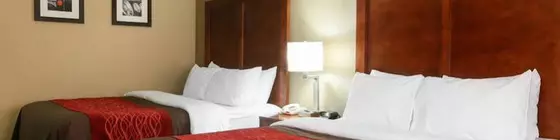 Comfort Inn & Suites Leeds | Alabama - Birmingham (ve civarı) - Leeds