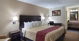 Red Roof Inn Springfield | İllinois - Springfield (ve civarı) - Springfield