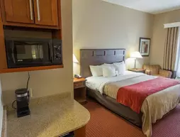 Comfort Inn New Orleans Airport | Louisiana - New Orleans (ve civarı) - Kenner - Kenner - Louis Armstrong Uluslararası Havalimanı