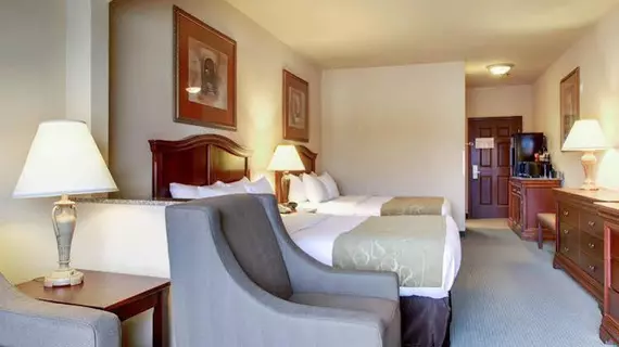 Comfort Suites Vidalia | Louisiana - Vidalia