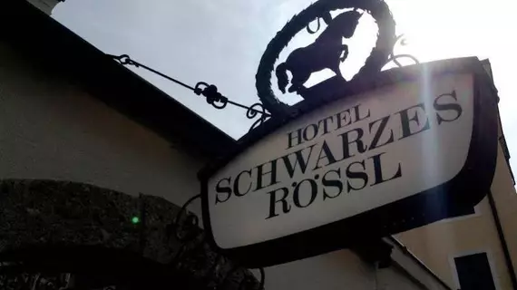 Hotel Schwarzes Rössl | Salzburg (eyalet) - Salzburg - Salzburg Şehir Merkezi