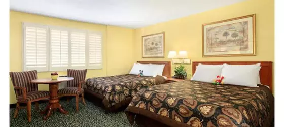 Del Sol Inn Anaheim | Kaliforniya - Orange County - Anaheim - Anaheim Resort