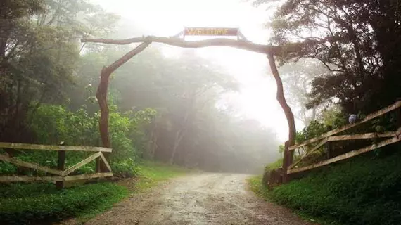 Monteverde Cloud Forest Lodge | Puntarenas (ili) - Monteverde