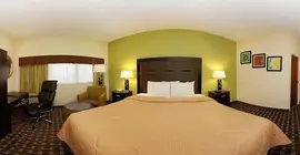 Comfort Inn and Suites | Güney Karolayna - Greenville - Spartanburg (ve civarı) - Greenville