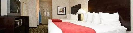 Best Western Paris Inn | Kentucky - Lexington (ve civarı) - Paris