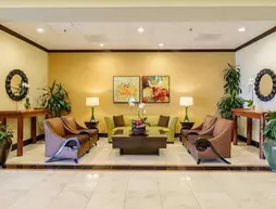 Holiday Inn San Diego North Miramar | Kaliforniya - San Diego County - San Diego