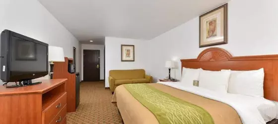 Comfort Inn Willow Springs | Missouri - West Plains (ve civarı) - Willow Springs