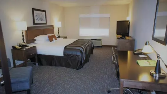 Wingate by Wyndham - Chattanooga | Tennessee - Chattanooga (ve civarı) - Chattanooga